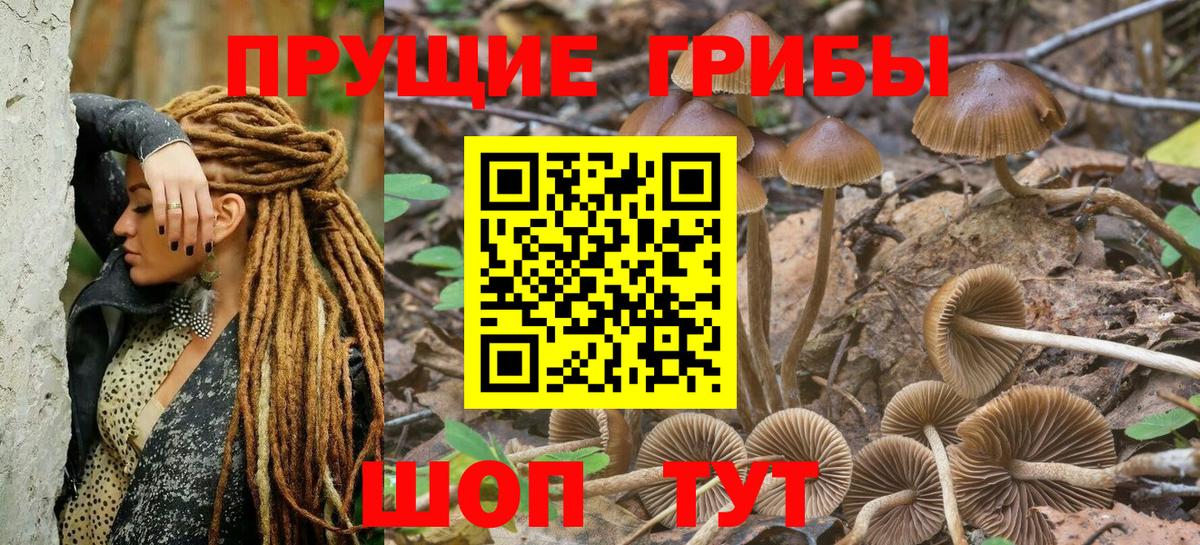 Псилоцибиновые грибы прущие грибы Татарск