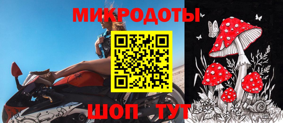 Галлюциногенные грибы Psilocybe  купить наркоту  Татарск  Вход с VPN 
